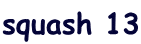 squash 13